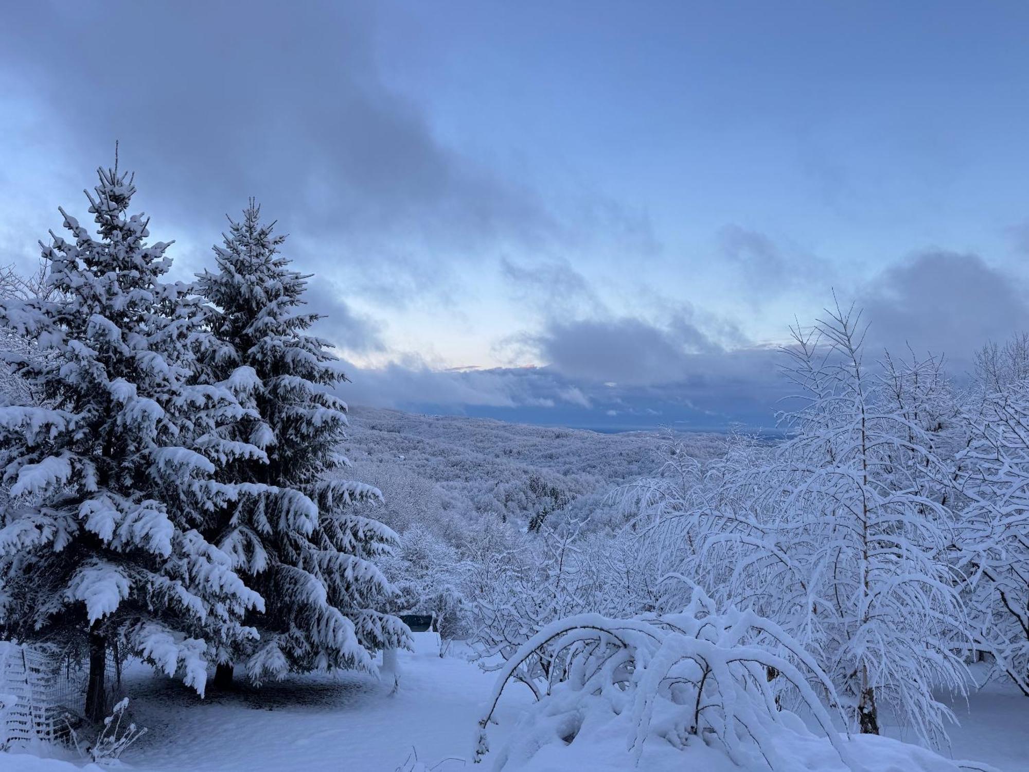 Guest House Lagotto'S Peak Radatovici المظهر الخارجي الصورة