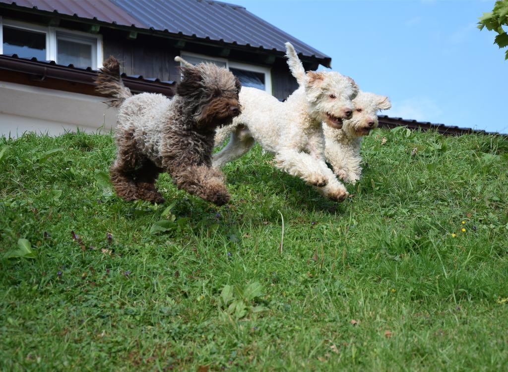 Guest House Lagotto'S Peak Radatovici المظهر الخارجي الصورة