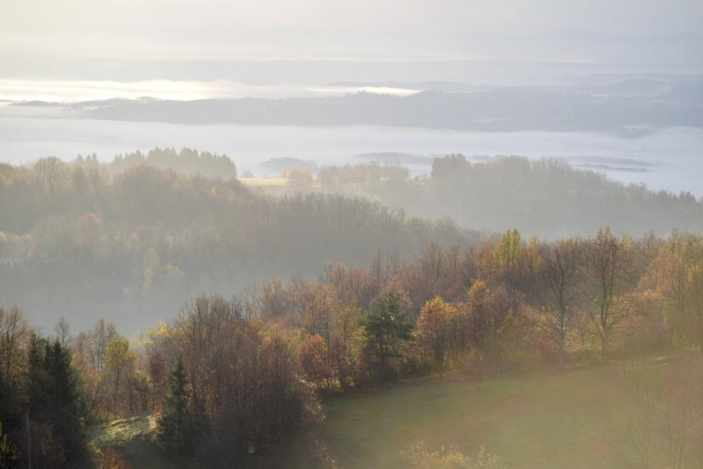 Guest House Lagotto'S Peak Radatovici المظهر الخارجي الصورة