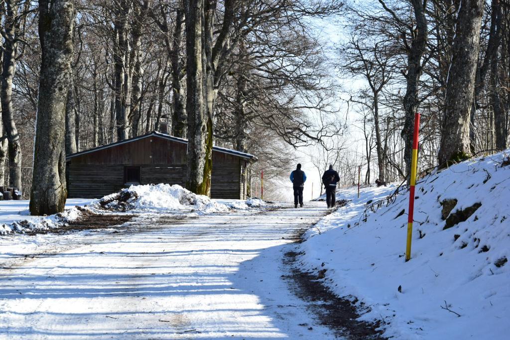 Guest House Lagotto'S Peak Radatovici المظهر الخارجي الصورة