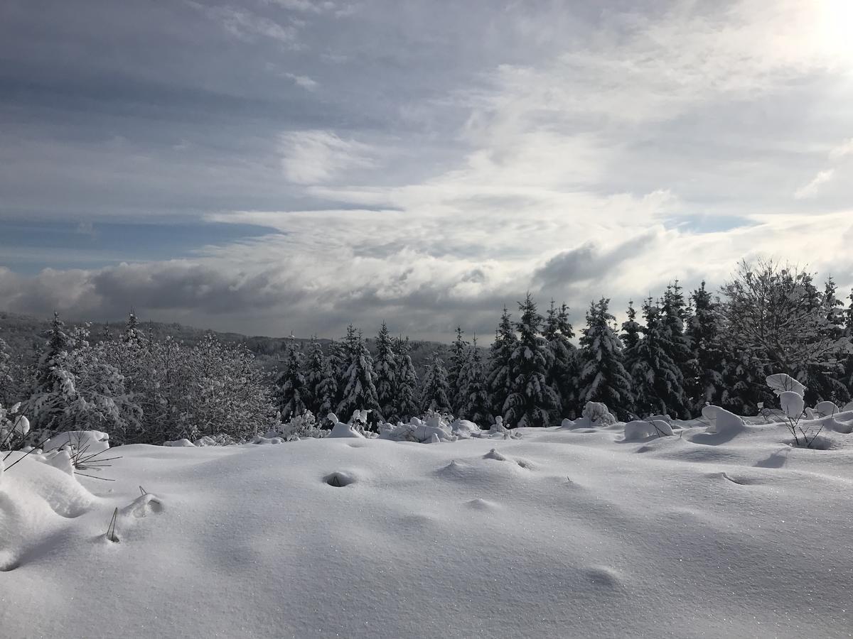 Guest House Lagotto'S Peak Radatovici المظهر الخارجي الصورة
