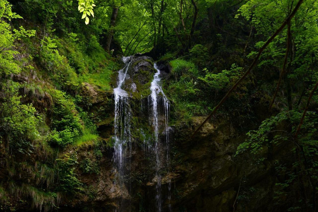Guest House Lagotto'S Peak Radatovici المظهر الخارجي الصورة